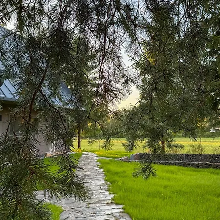 Fale I Igly * ساسينو