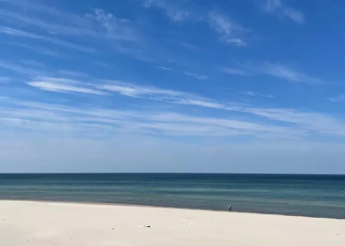 Fale I Igly * Sasino